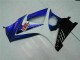 Abs Motocicleta Plásticos GSXR 1000 K7 2007-2008 - Azul