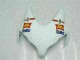 Carenagem Moto CBR 1000RR 2008-2011 - San Carlo