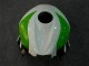 Carenagem Moto CBR 600RR 2007-2008 - Verde