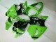 Injeção Kit Carenagem Moto ZX6R 2000-2002 - Verde Preto