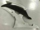 Kit Carenagem Moto R6 2008-2016 - Branco Kit Carenagem Moto R6 2008-2016 - Branco