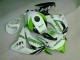 Kits Completo Carenagem Moto CBR 1000RR 2008-2011 - Verde Branco
